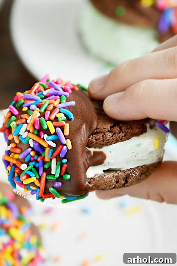 cookie ice cream sandwich in hand