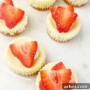 mini cheesecakes with graham cracker crust and fresh strawberry slices on top