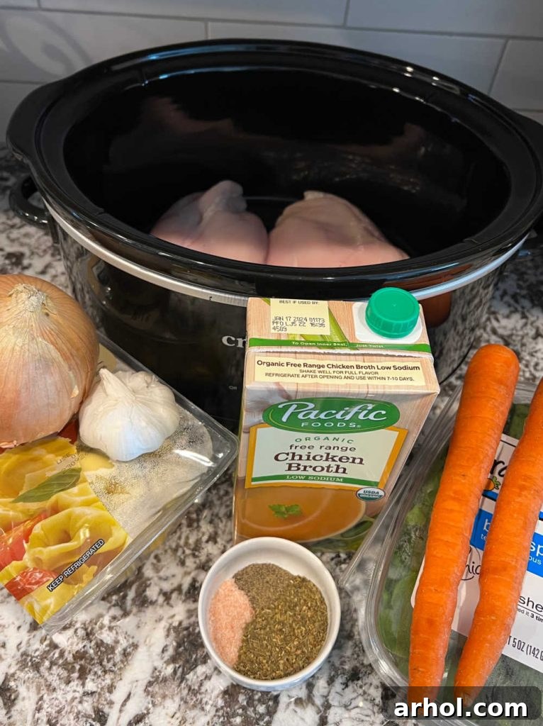 A selection of fresh ingredients for chicken tortellini soup including boneless chicken breast, onion, tortellini, garlic, chicken broth, carrots, spinach, and various seasonings.