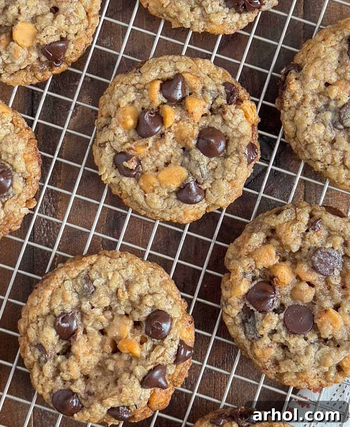 Freshly baked oatmeal scotchies with chocolate chips cooling on a wire rack.