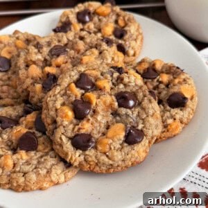 oatmeal butterscotch chocolate chip cookies.