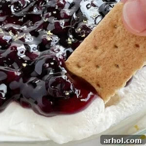 A crisp graham cracker generously dipped into a creamy Lemon Blueberry Cheesecake Dip, highlighting the fresh lemon zest and sweet blueberries.