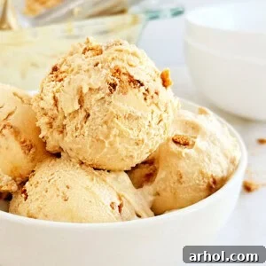 Scoops of homemade cookie butter ice cream in a bowl, a decadent no-churn dessert.